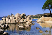 那不勒斯攻陷都灵主场，保持赛季不败