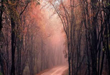 河北华夏幸福战术失误导致失败，球队备受压力