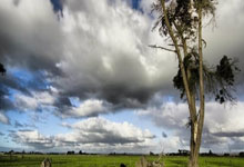 格拉纳达门将连续三场零封，被誉为最佳守门员