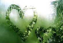 比利亚雷亚尔主场取得宝贵分数