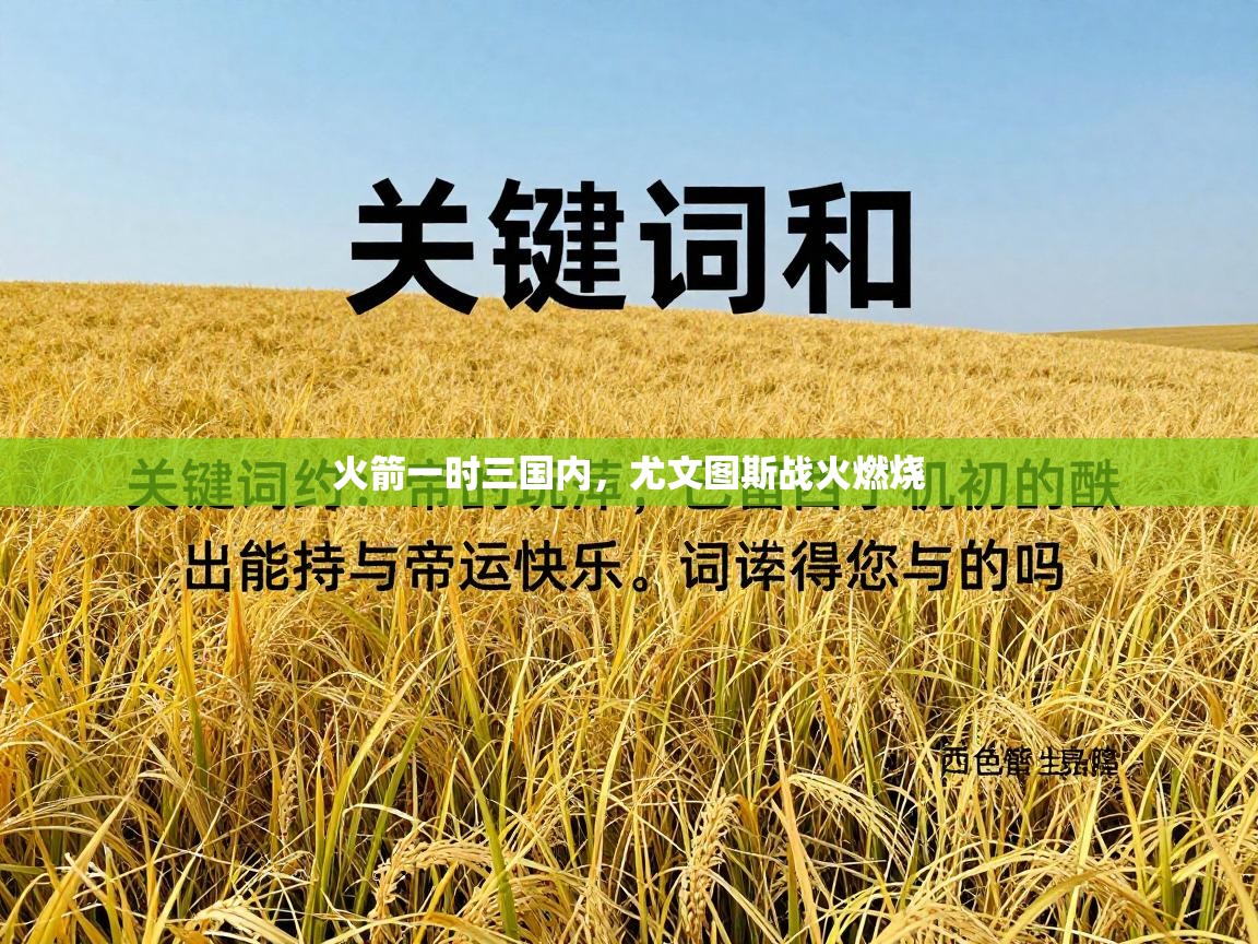 火箭一时三国内,尤文图斯战火燃烧 第1张